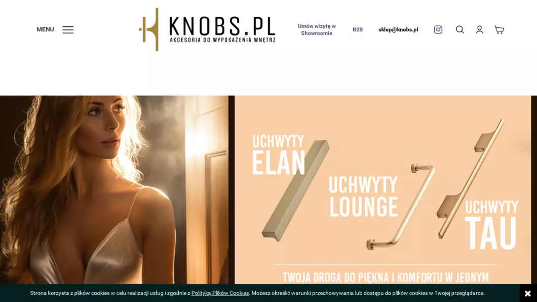 Zrzut ekranu strony firmy Knobs.pl